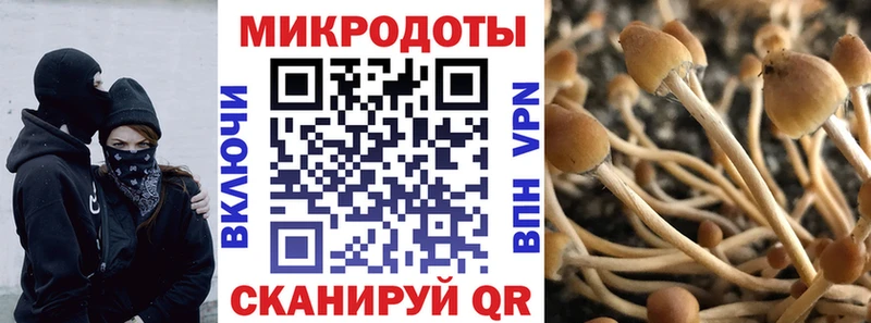 Галлюциногенные грибы MAGIC MUSHROOMS  Сатка 